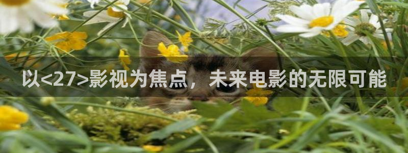 好看影院在線觀看：以<27>影視為焦點，未來電影的無限可能