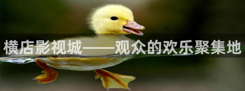 好好看影院：橫店影視城——觀眾的歡樂聚集地