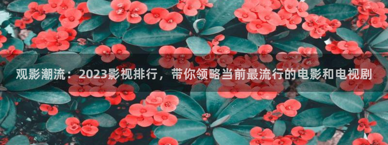 好看影院在線觀看電影：觀影潮流：2023影視排行，帶你領略當前最流行的電影和電視劇