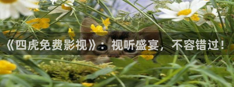 好好看影院：《四虎免費影視》：視聽盛宴，不容錯過！