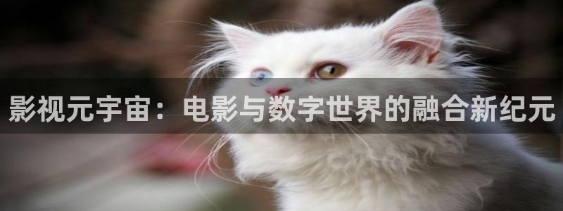 好好看影院：影視元宇宙：電影與數字世界的融合新紀元